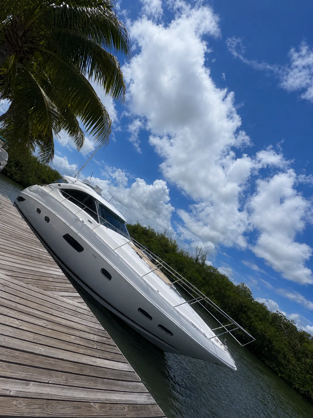 Sea Ray 470 Sundancer moored dockside beneath the palms